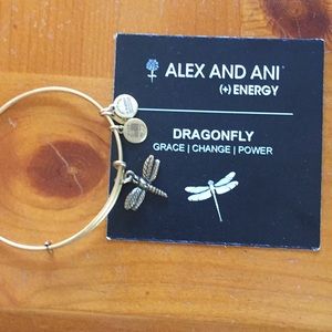 Alex and Ani Dragonfly charm bracelet